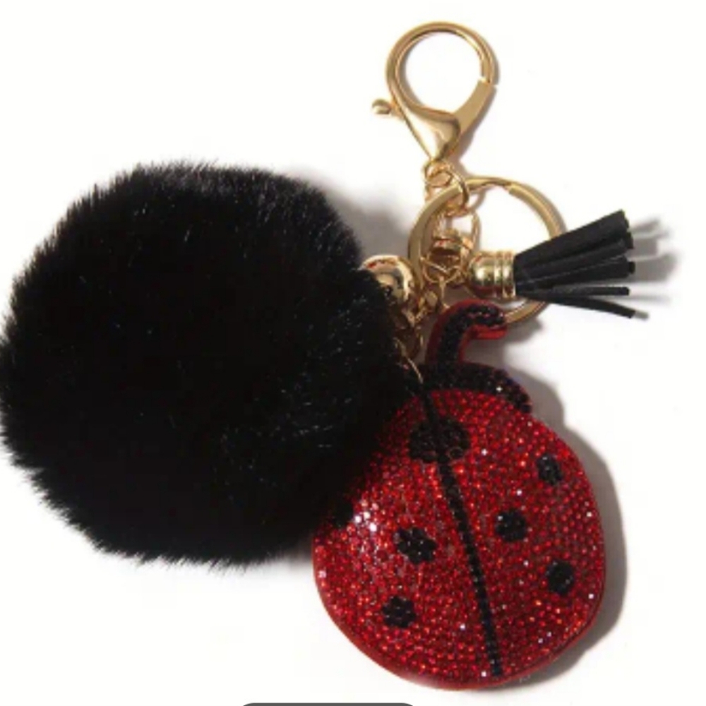 Ladybug key chain